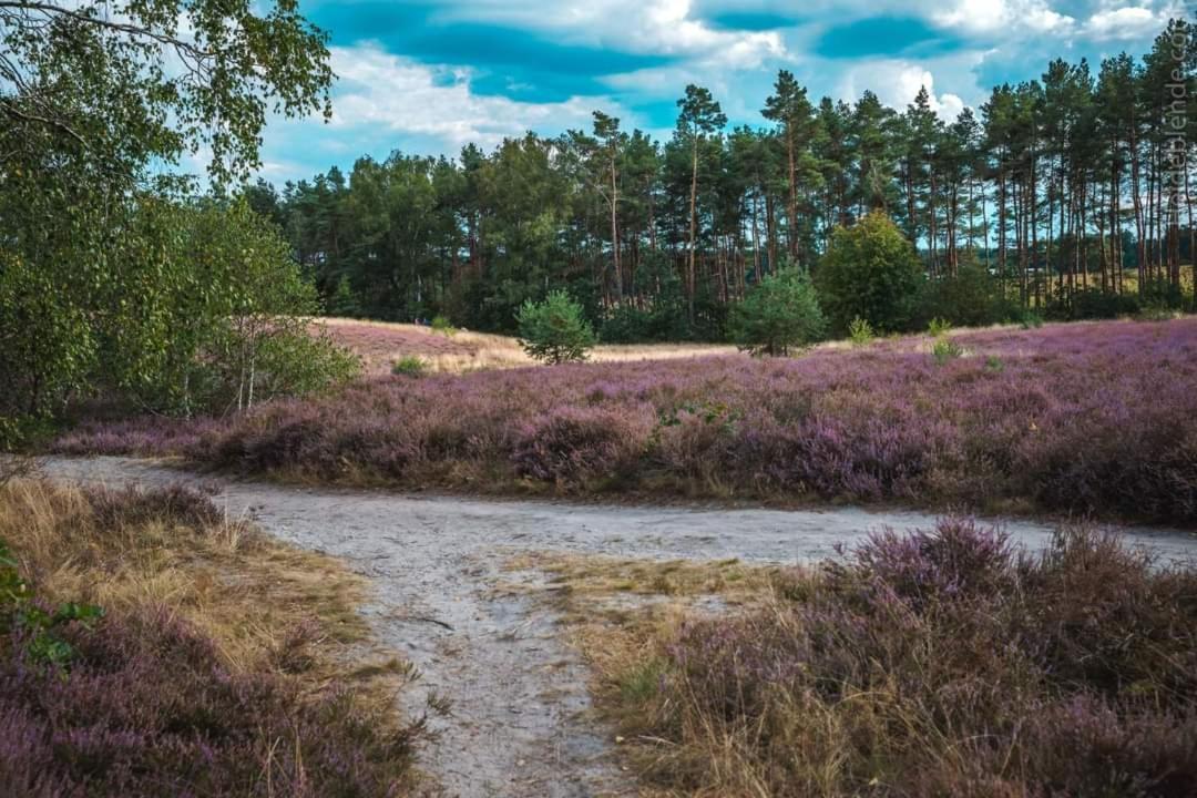 Ferienwohnung Ram 1 Hermannsburg Exteriér fotografie