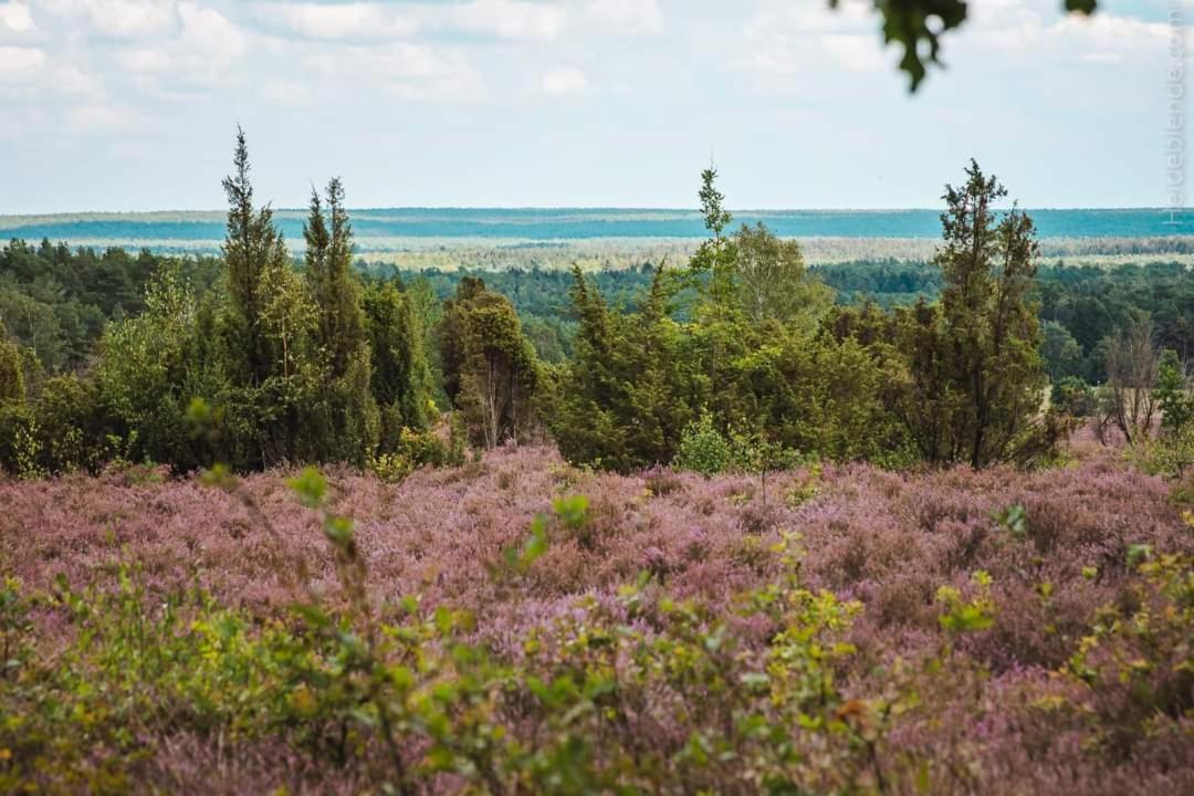 Ferienwohnung Ram 1 Hermannsburg Exteriér fotografie